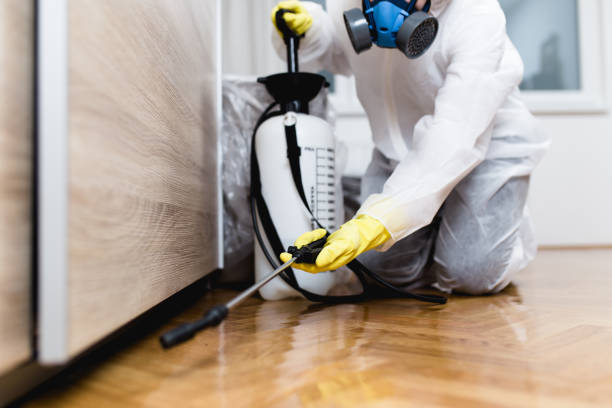 Best Commercial Pest Control Services  in Mount Pleasant, WI