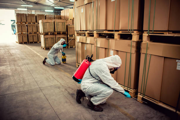 Best Affordable Pest Control Services  in Mount Pleasant, WI