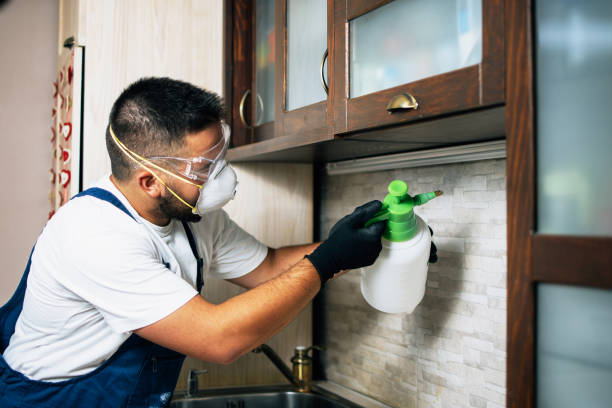 Pest Control for Restaurants in Mount Pleasant, WI
