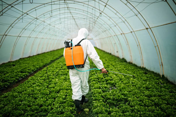 Best Mosquito Control Services  in Mount Pleasant, WI