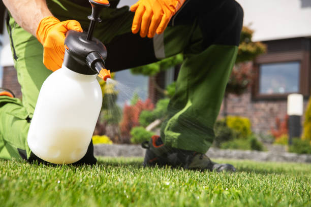 Best Cockroach Control Services  in Mount Pleasant, WI
