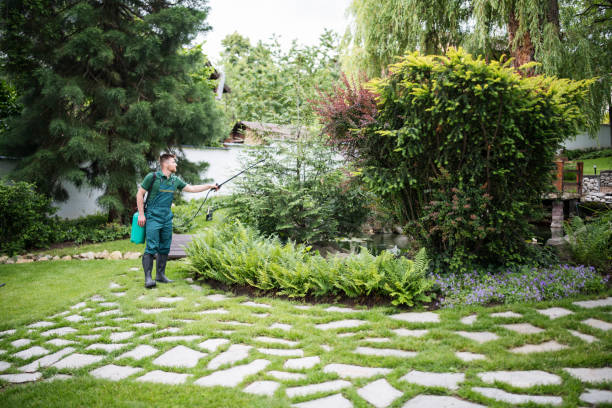 Best Best Pest Control Near Me  in Mount Pleasant, WI