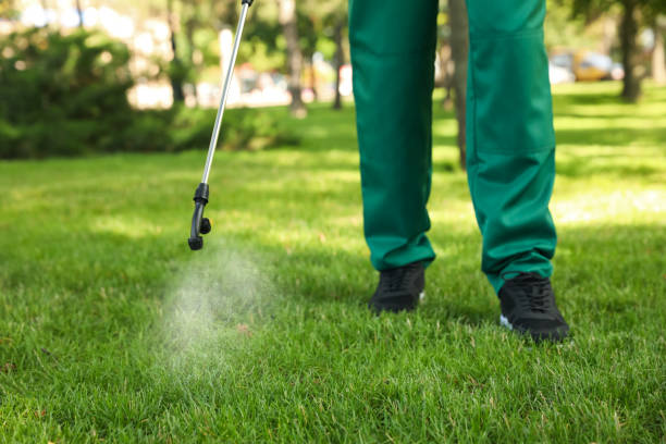 Best Pest Inspection Near Me  in Mount Pleasant, WI