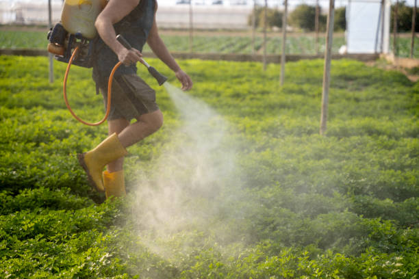 Best Residential Pest Control  in Mount Pleasant, WI