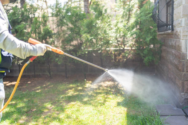 Best Pest Control Near Me in Mount Pleasant, WI
