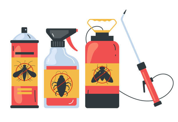 Best Affordable Pest Control Services  in Mount Pleasant, WI