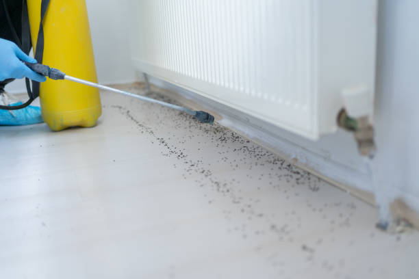 Best Best Pest Control Companies  in Mount Pleasant, WI
