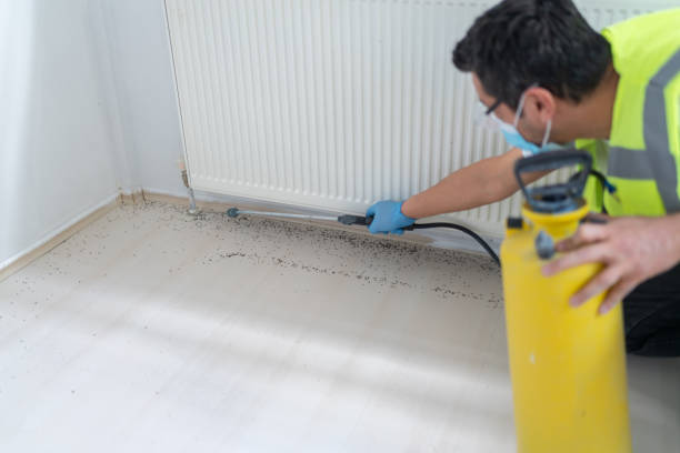 Professional Pest Control in Mount Pleasant, WI