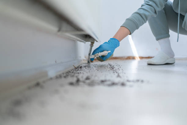 Best Best Pest Control Companies  in Mount Pleasant, WI